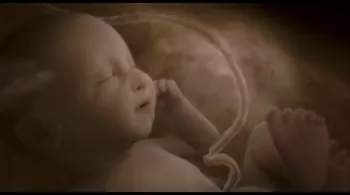 NOS BEBES ONT UNE HISTOIRE