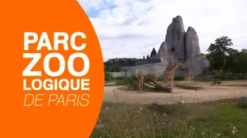 Parc zoologique