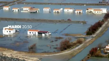 Sale temps pour la planète - Ile de Ré, Noirmoutier protégées à tout prix