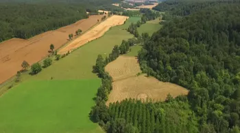 Bataille pour un parc