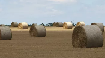 Pièces à conviction