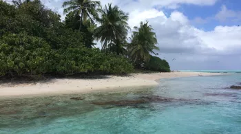 Plage de Polynésie