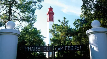 cap ferret