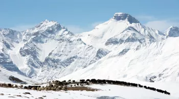 montagnes sauvages