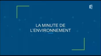 La minute de l'environnement