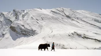 MONTAGNES SAUVAGES