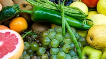 ECONOMIE-BIO-REPAS-ENFANTS - ©MAXPPP
