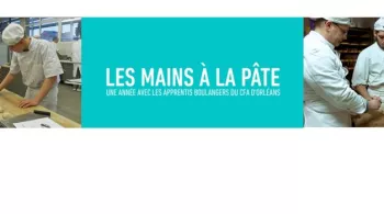 LES MAINS A LA PATE