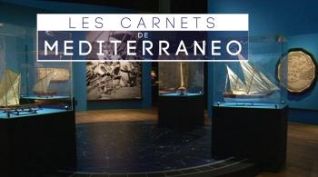 Débat sur l'expression artistique en Méditerranée dans "Les Carnets de Mediterraneo", ce mardi 14 novembre à 20h35 sur ViaStella
