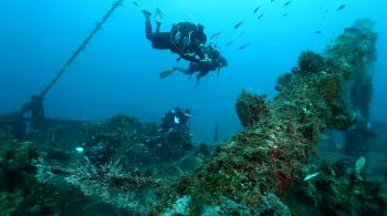 Martinique, à la recherche des trésors de la mer