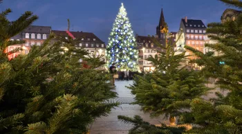 Strasbourg
