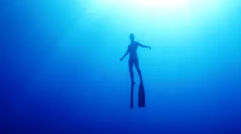 Le Grand Bleu