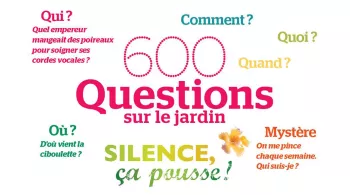 visuel le boite à questions