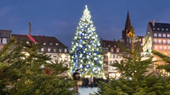 Lumières de Noël
