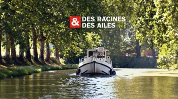 des racines et des ailes 