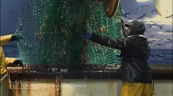 Chalutier en pêche