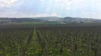 Château-Thierry,   le fabuleux joyau  de la vallée de la Marne