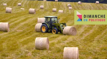 Agriculture