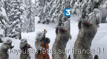 Joyeuses fêtes