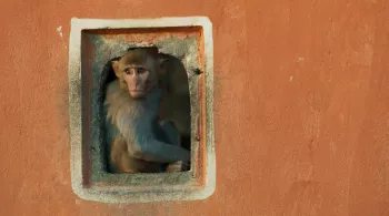 PLANETE TERRE