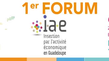 forum de @l'insertrion par l'activité economique