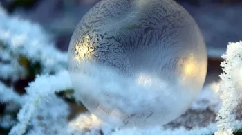 BOULE NOEL