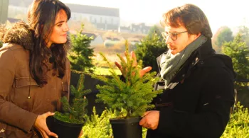 Gaëlle Grandon Noël en Bourgogne