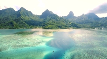 Ile de Moorea