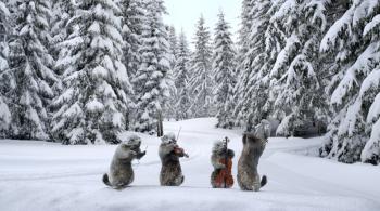 Les marmottes sous la neige ©france3