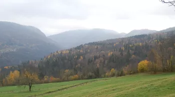 C'est là ! Jura, terre de bois