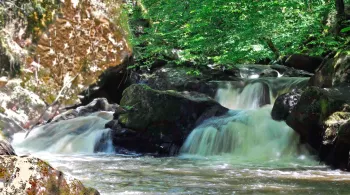 Parc naturel régional
