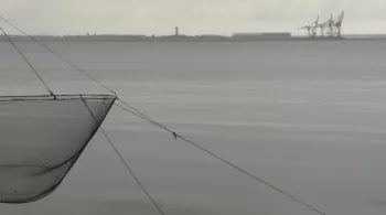 l'estuaire