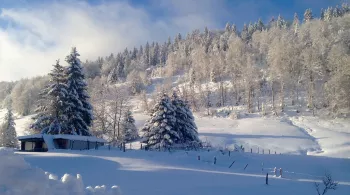 Paysage de neige
