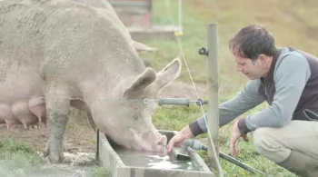 FAUT-IL ARRÊTER DE MANGER LES ANIMAUX ?