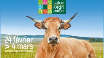 SIA 2018