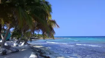 COULEUR BELIZE