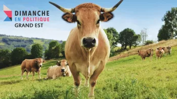 Dimanche en politique Grand Est au salon de l'agriculture