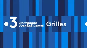 Grilles des programmes