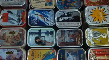 sardines
