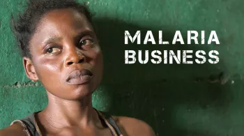 Malaria Business