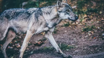 Photo by Nick Karvounis on Unsplash