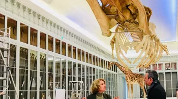 Muséum
