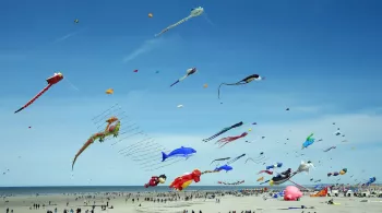 Berck Cerfs-volants