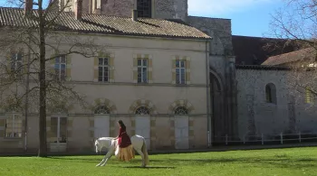 haras de Cluny
