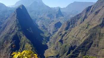 CDH la réunion ligne verticale