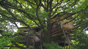 Un monde de cabanes