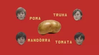 La pomme de terre en Bigorre / © Piget / France Télévisions