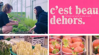 C'est beau dehors - Îlot de la Meinau