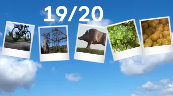 Un été dans le Grand Est 2018 - crédit FTV