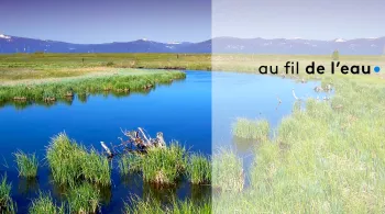 Au fil de l'eau ® France 3